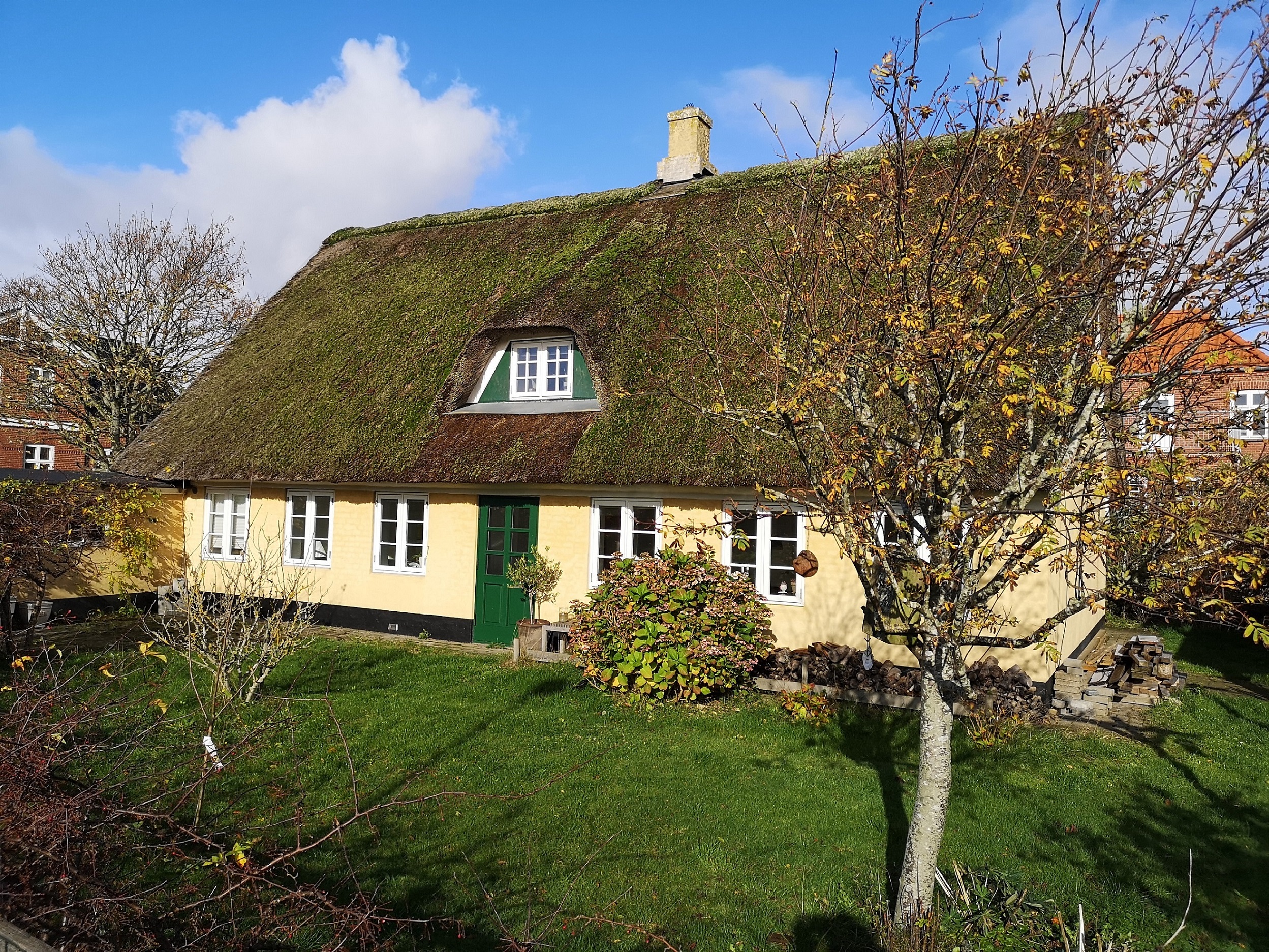 Green roof, Fanø Island.jpg